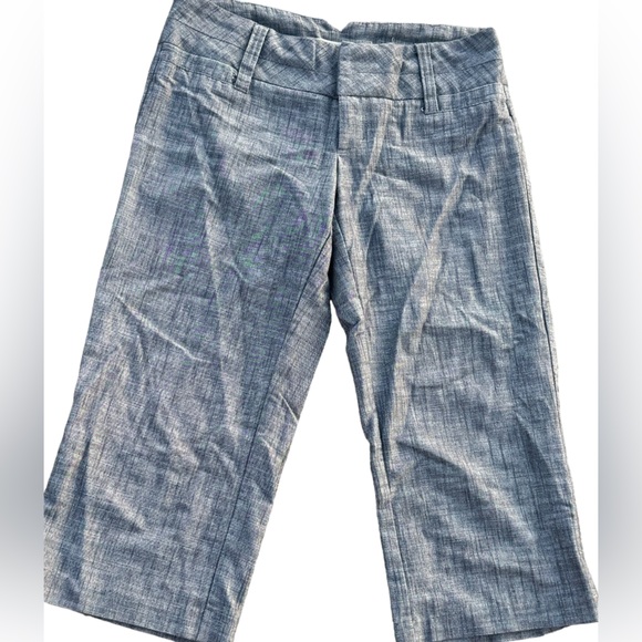 Style that Works by Vanity ladies carpi pants size 3 - Picture 2 of 4